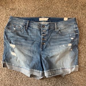 Torrid Distressed Shorts